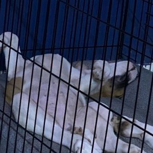 Meet your Posher, Jonathan